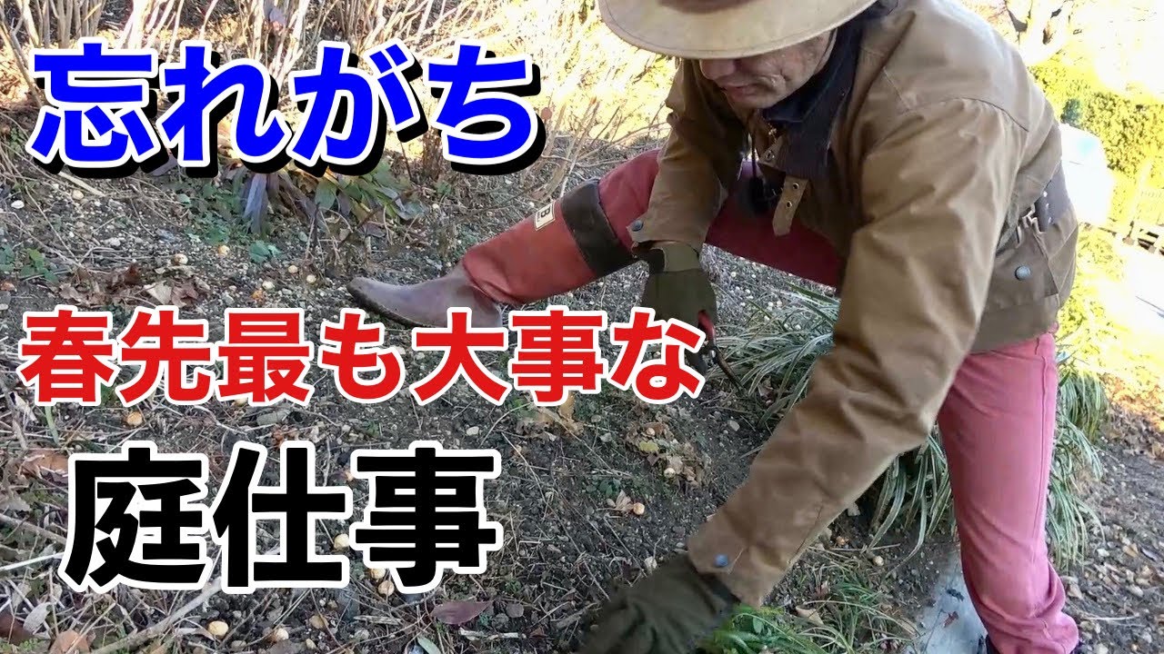 温かくなる前に必ず必要な庭作業　【荒地リフォーム16】【カーメン君】【園芸】【ガーデニング】