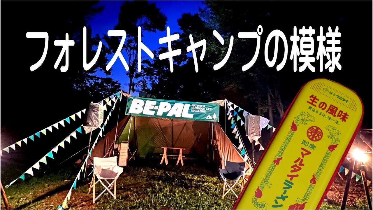 BEPALフォレストキャンプの模様と付録開封