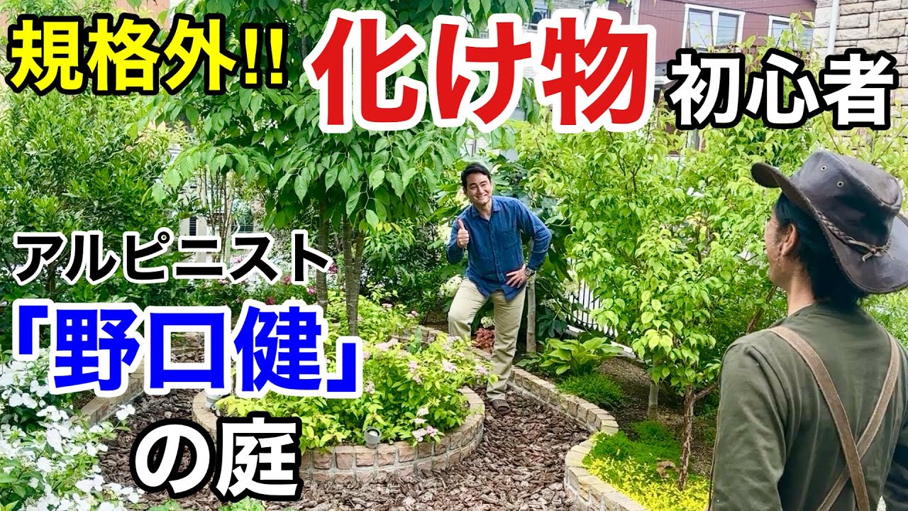 【常識破り】園芸初心者「野口健」の庭が想像をはるたかに越していた　　　    【カーメン君】【野口健】【個人庭】【初心者】