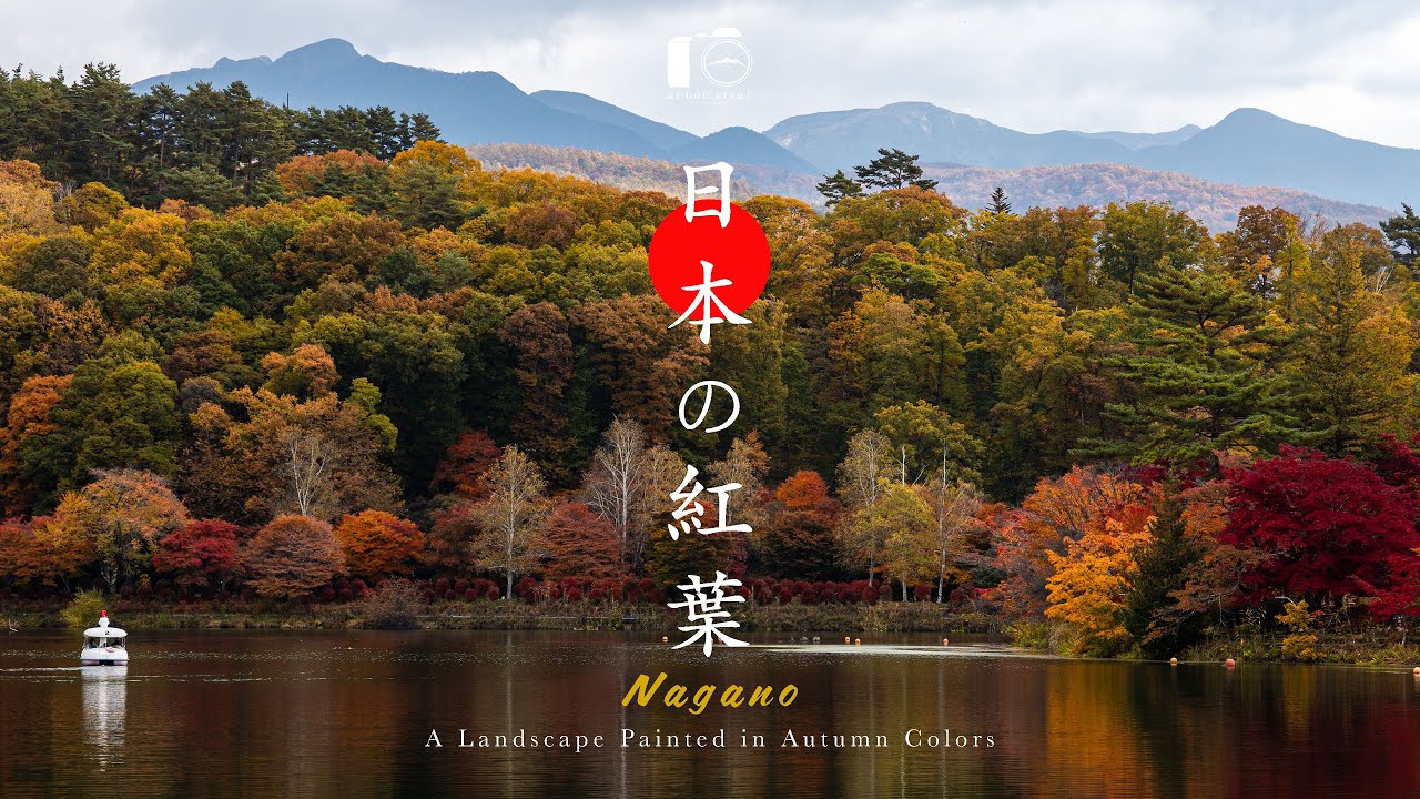 【秋の風景】紅葉を巡る信州の秋、蓼科・原村・駒ヶ根｜総集編｜2025