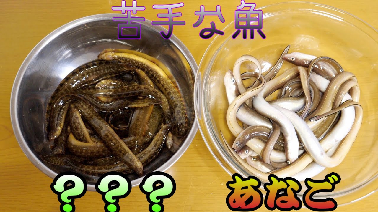 きまぐれクックが一番さばきたく無い魚をひたすらさばく。苦手は克服する物でしょ？