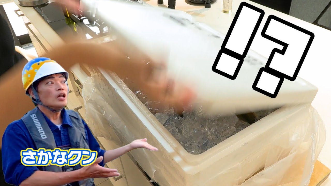 さかなクンからとんでもない海鮮boxが届きました！！