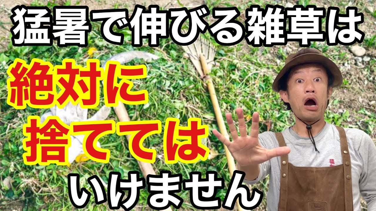 【ちょっと待った！】夏の雑草は伸びた分だけ儲かります　　【カーメン君】【園芸】【ガーデニング】【初心者】