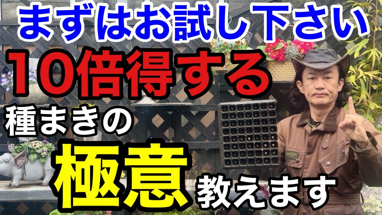 【初心者でも失敗しない】種まきした事がない方はまずこちらをご覧下さい　　　　　