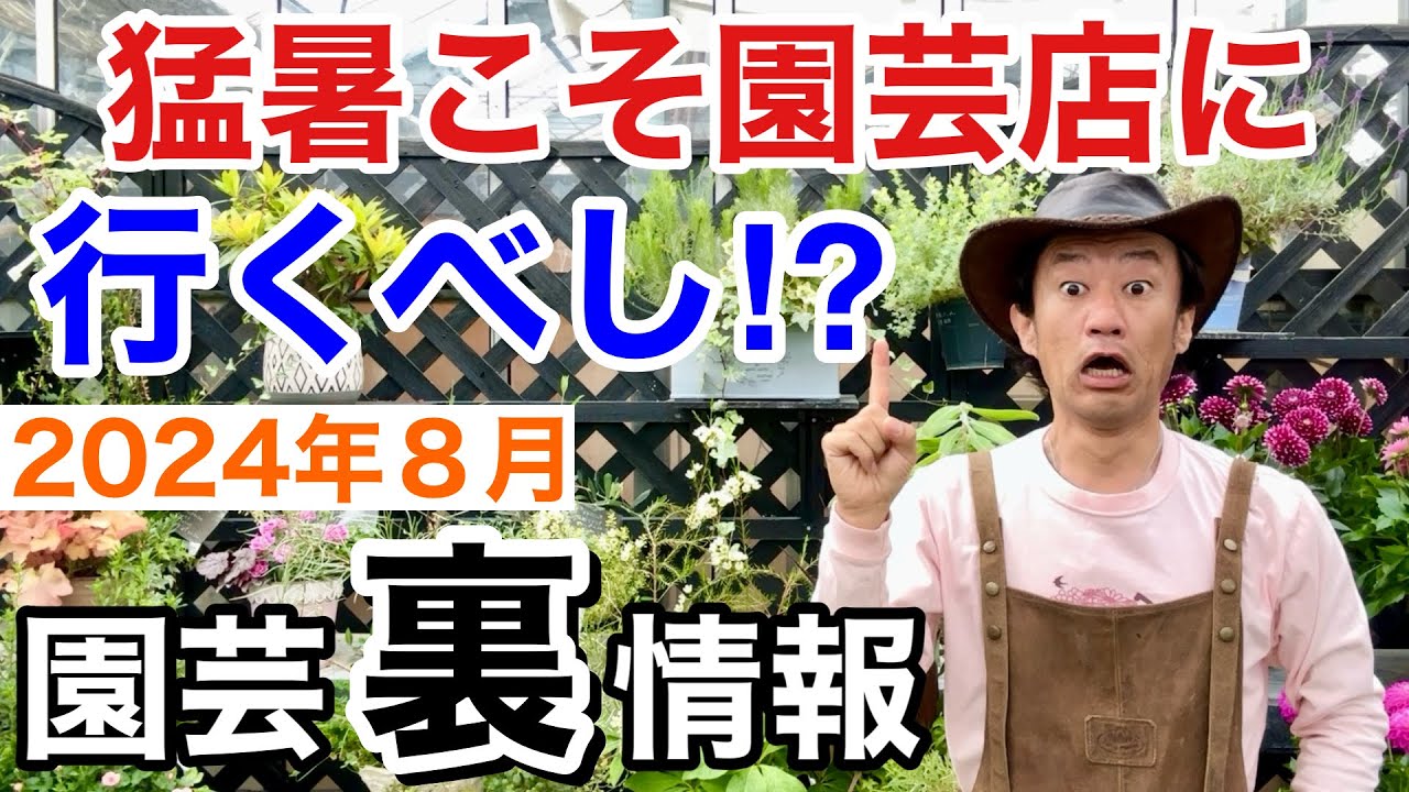 【裏情報】暑いと園芸店が必死で販売するので〇〇が絶対お得です　　【カーメン君】【園芸】【ガーデニング】【初心者】