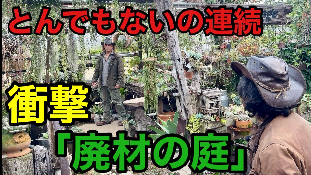 【庭づくり費用0円】あなたの庭の常識は今日で崩壊します　　　　　　　【園芸】【多肉】【スター】