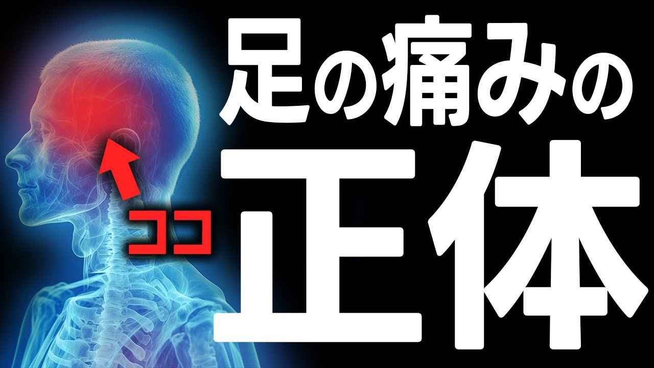 【筋膜が原因ではない！】足裏の痛みの本当の原因と治し方