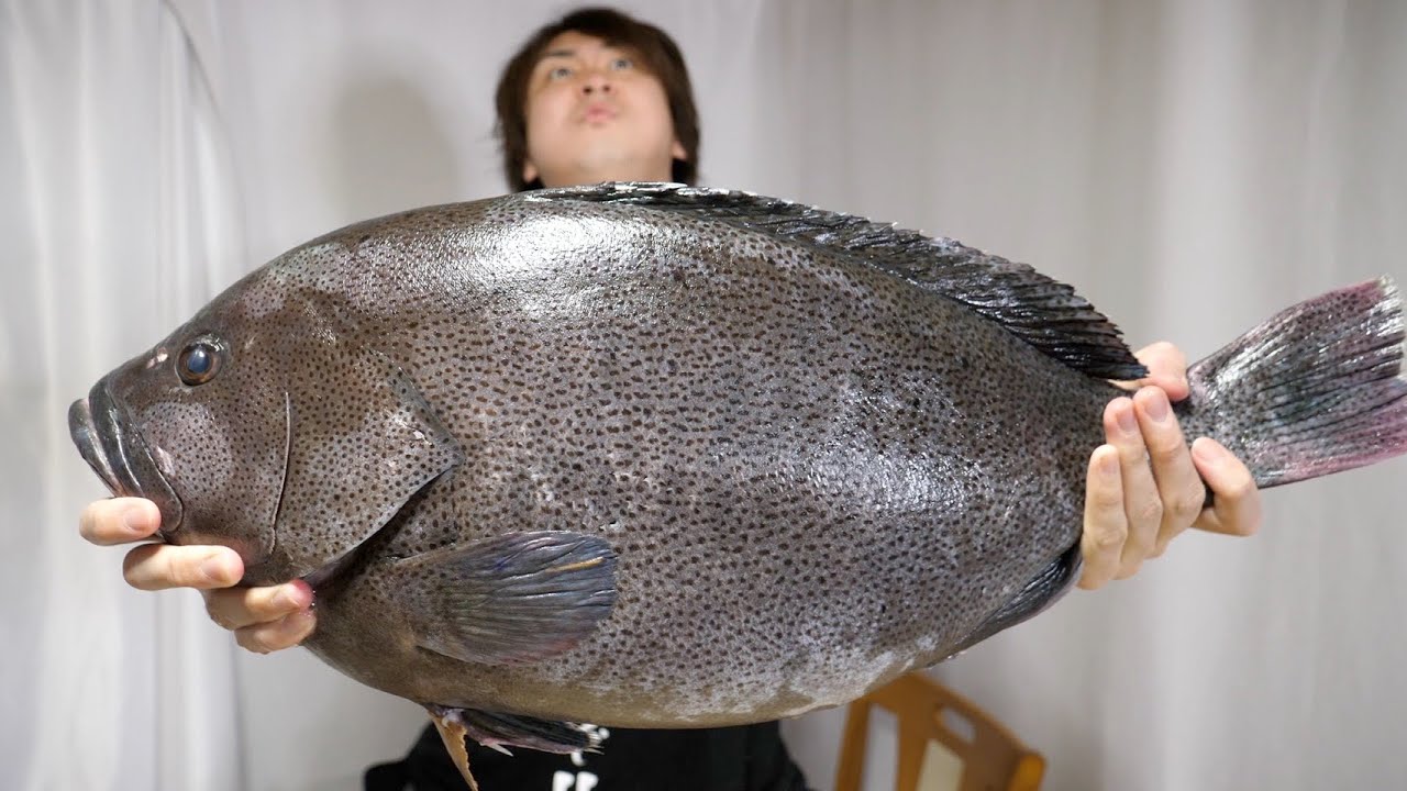 マジの幻の魚が入りました。全身バターみたいな魚。お値段も過去最大です。。。どうしよ