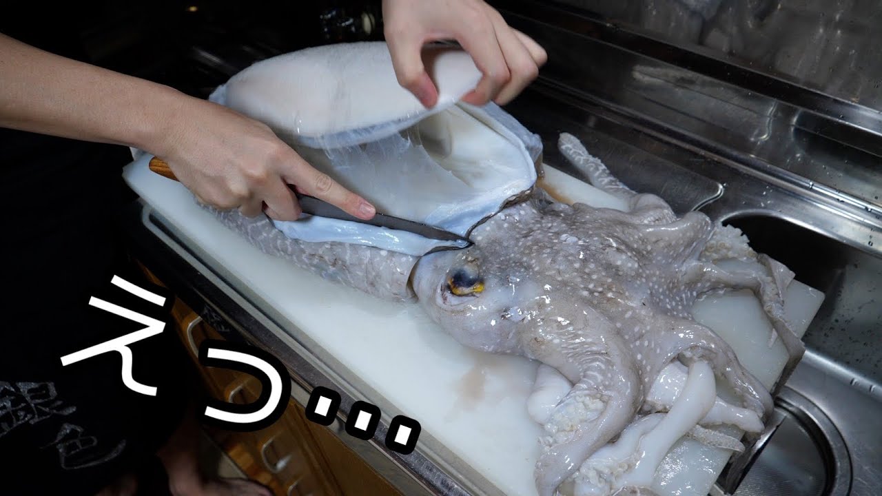 硬すぎる甲羅を備えた、『巨大イカ』。中身がとにかく凄すぎる。