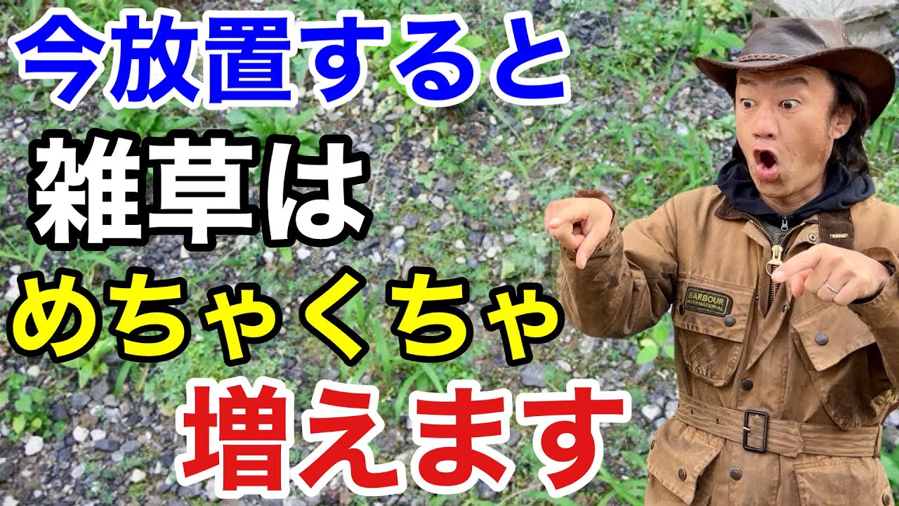 【速い速い速い】雑草を効率よく退治する方法教えます　　　　　　　　　　【カーメン君】【アース製薬】【草コロリ】【初心者】
