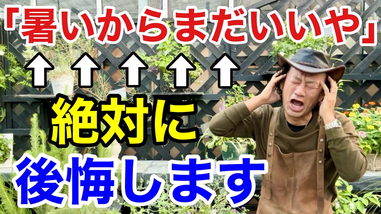 【ここで差が出る】10月急いでやる事まとめました　　　　　　【カーメン君】【園芸】【ガーデニング】【初心者】