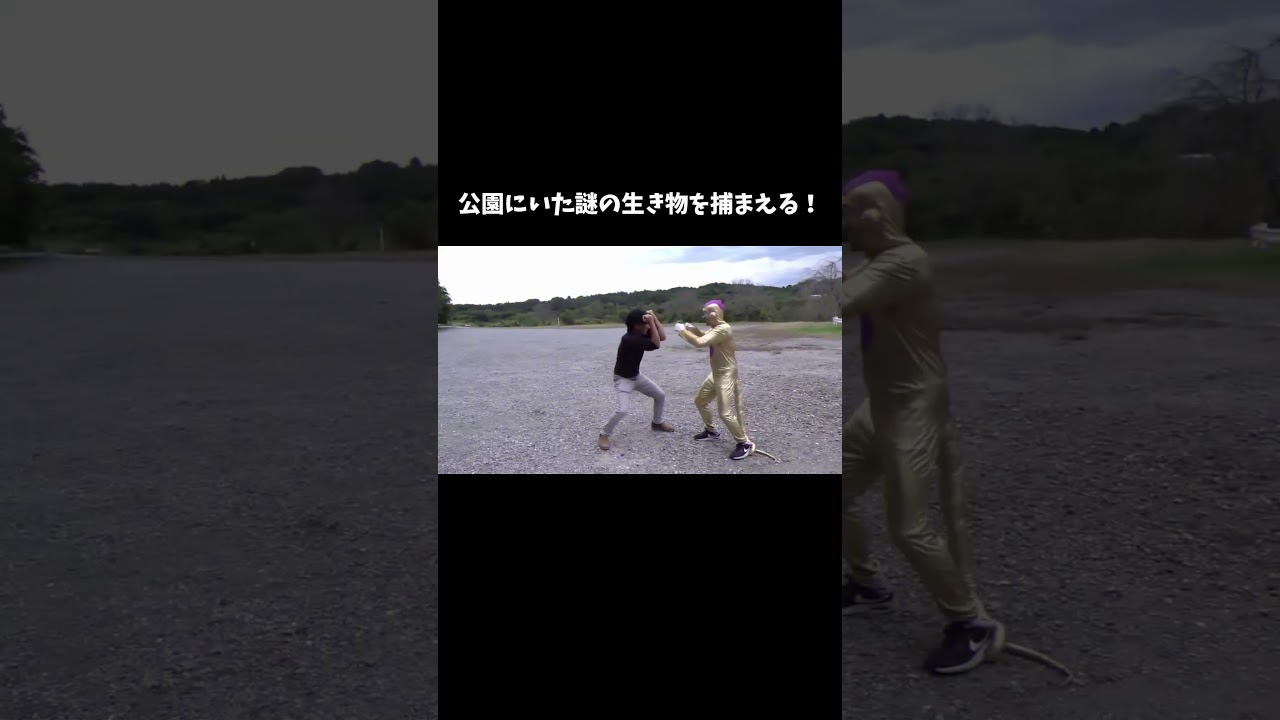 公園に巨大外来種がいるらしい #shorts