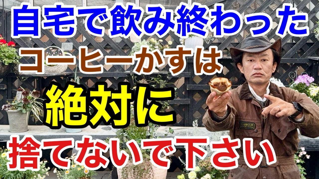 【まだまだ使える】コーヒーかすの超活用法教えます　　　　　【カーメン君】【園芸】【ガーデニング】【初心者】