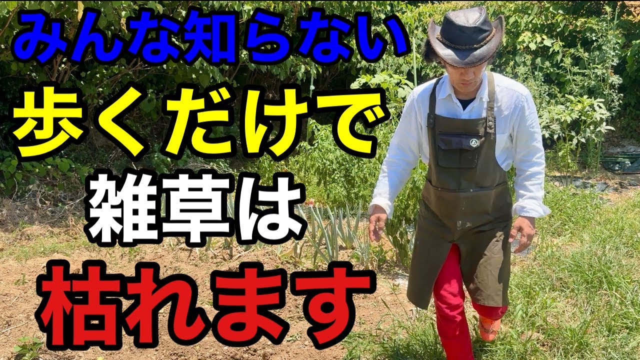 【新発見】夏の雑草は絶対に座って取ってはいけません　　　　　【カーメン君】【園芸】【ガーデニング】【初心者】