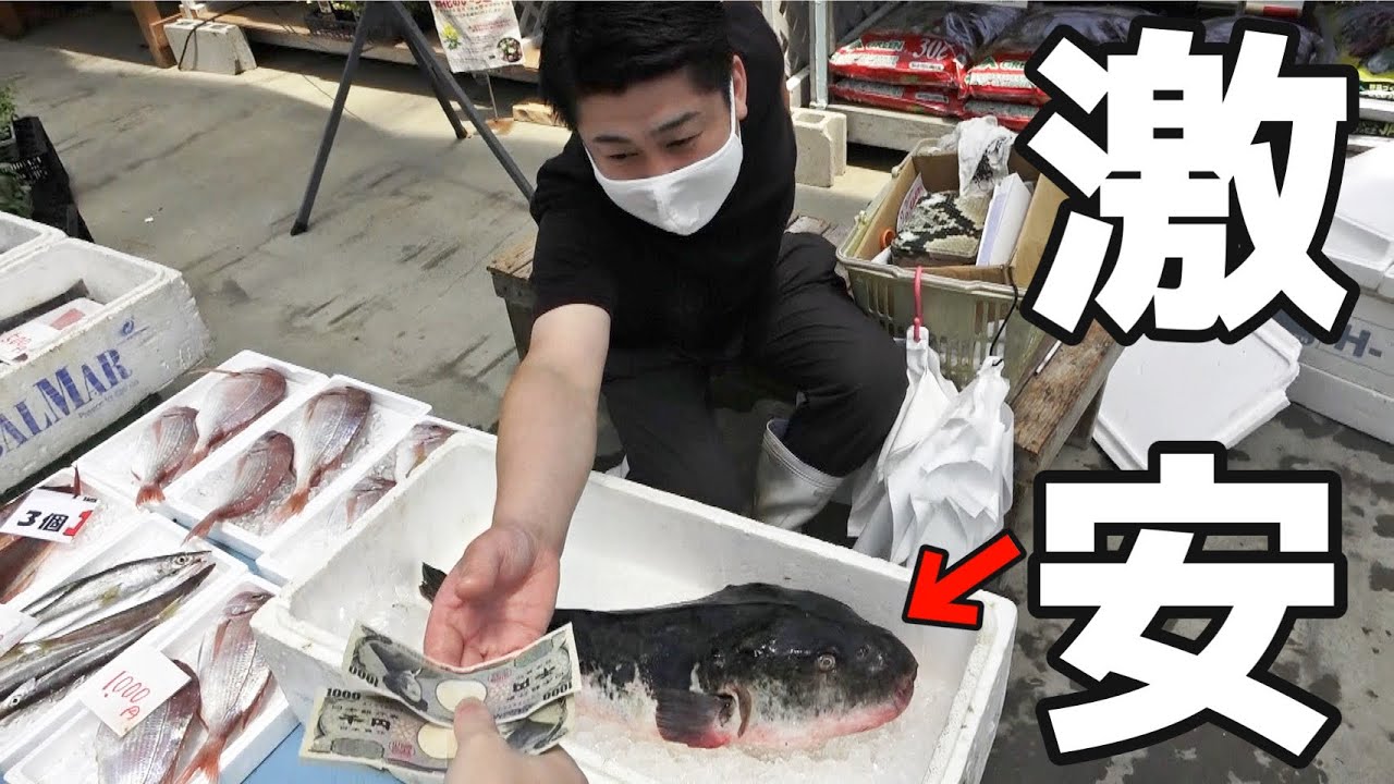 訳ありの巨大トラフグが2000円で売ってたのでさばいてみたら、訳ありすぎた。