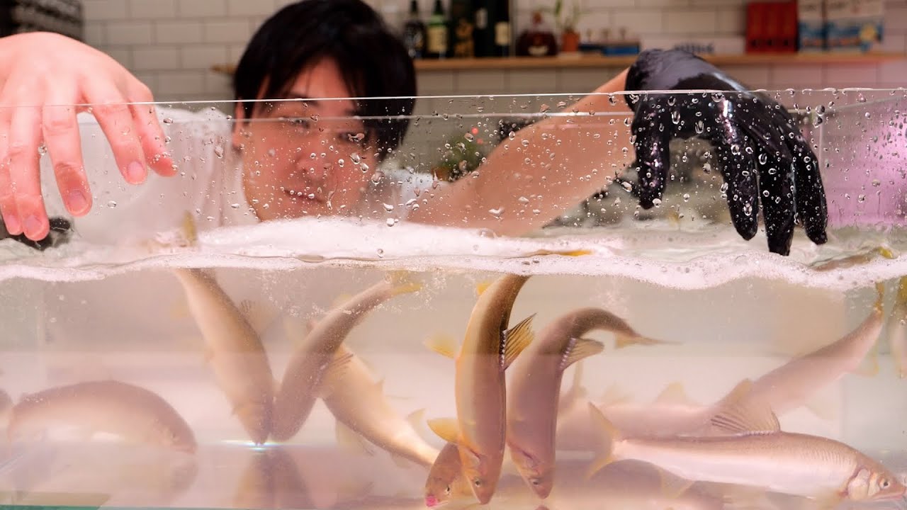 生きてるアユを使って、あの料理を作ってみました。