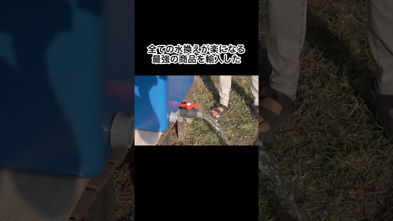 全ての水換えが楽になる最強の商品を輸入しました　#shorts
