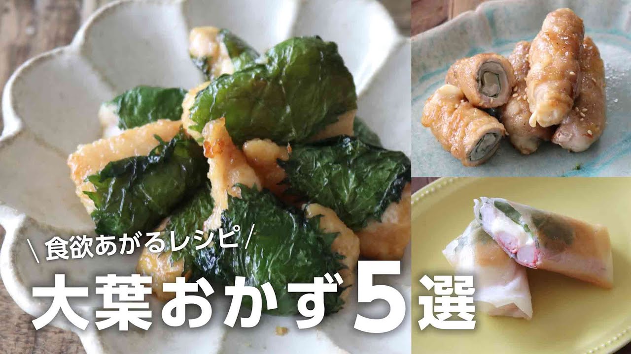 【大葉レシピ５選】夏バテ防止に最適！人気のオススメ大葉おかず弁当bento