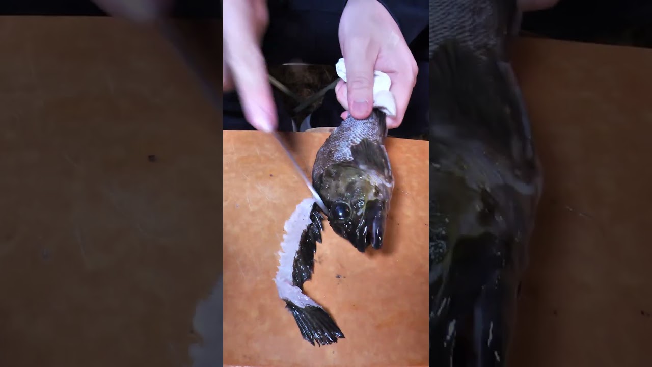 【七輪】カサゴの炭火焼きがうますぎる！　#seafood #asmr #魚捌き