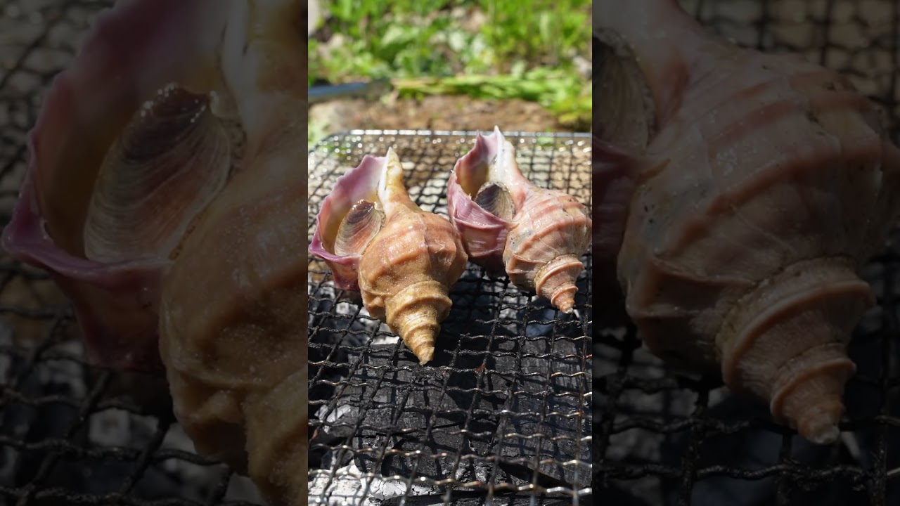 山で食べるつぶ貝が美味すぎる！