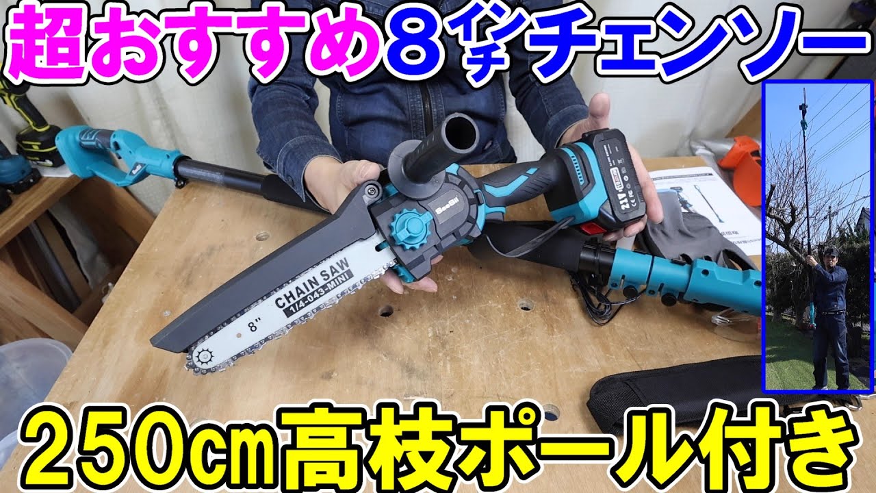 【格安おすすめ】Seesiiの高枝ポール付き8インチチェンソーが過去一で使える