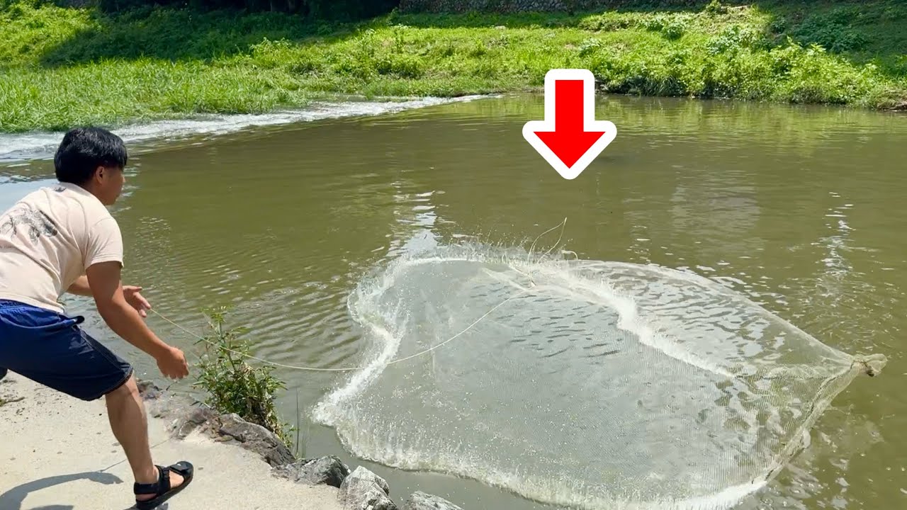 大雨の後の濁った川に投網を投げると・・・