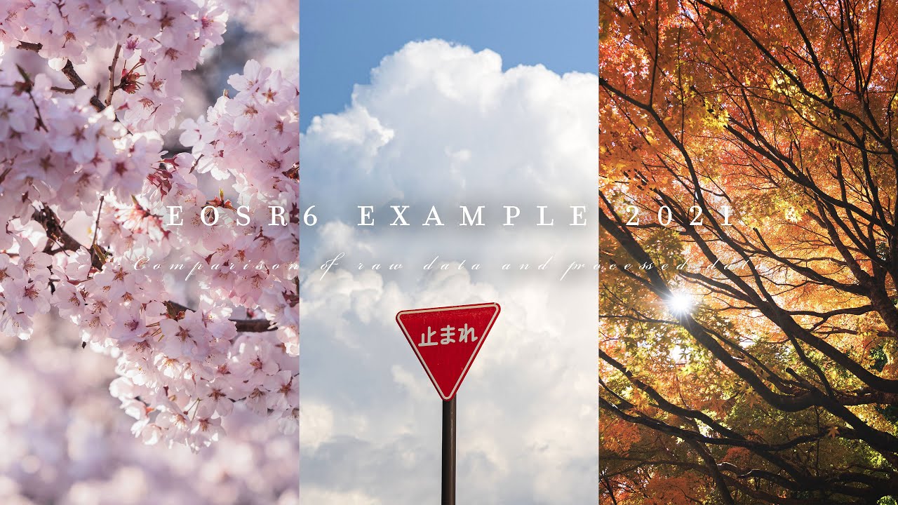 【EOSR6作例】RAWと風景写真レタッチ | My Year 2021