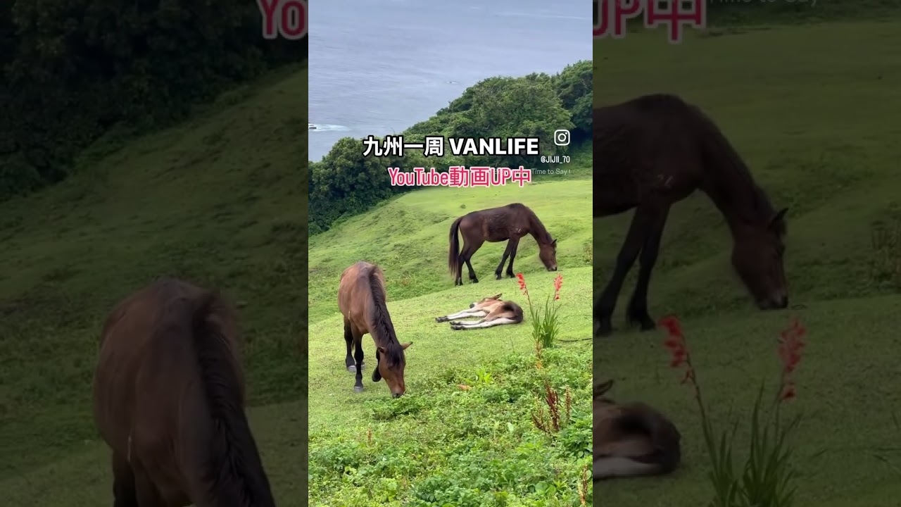 九州一周車中泊、動画UP中