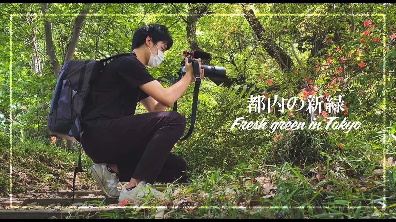 【多摩丘陵自然公園】都内の新緑と高幡山明王院金剛寺│Vlog