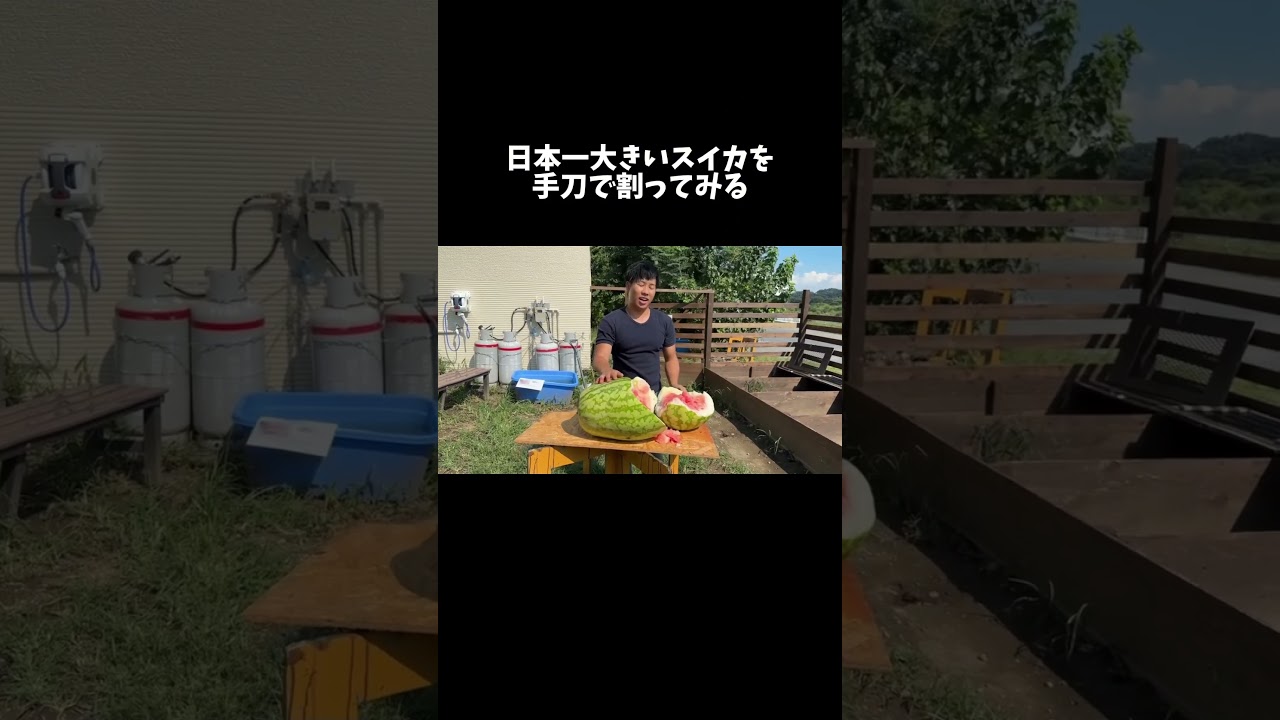 日本一大きいスイカを手刀で割る男　#shorts