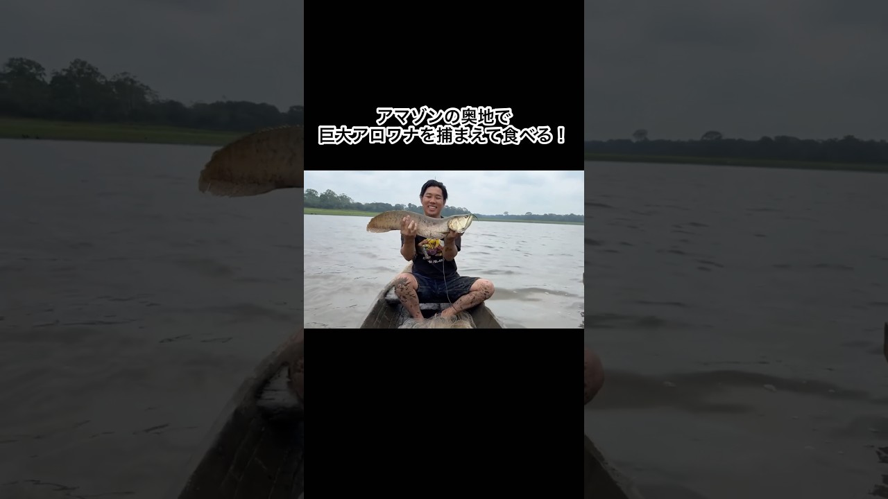 アマゾンの奥地で巨大アロワナを捕まえて食べる！ #shorts