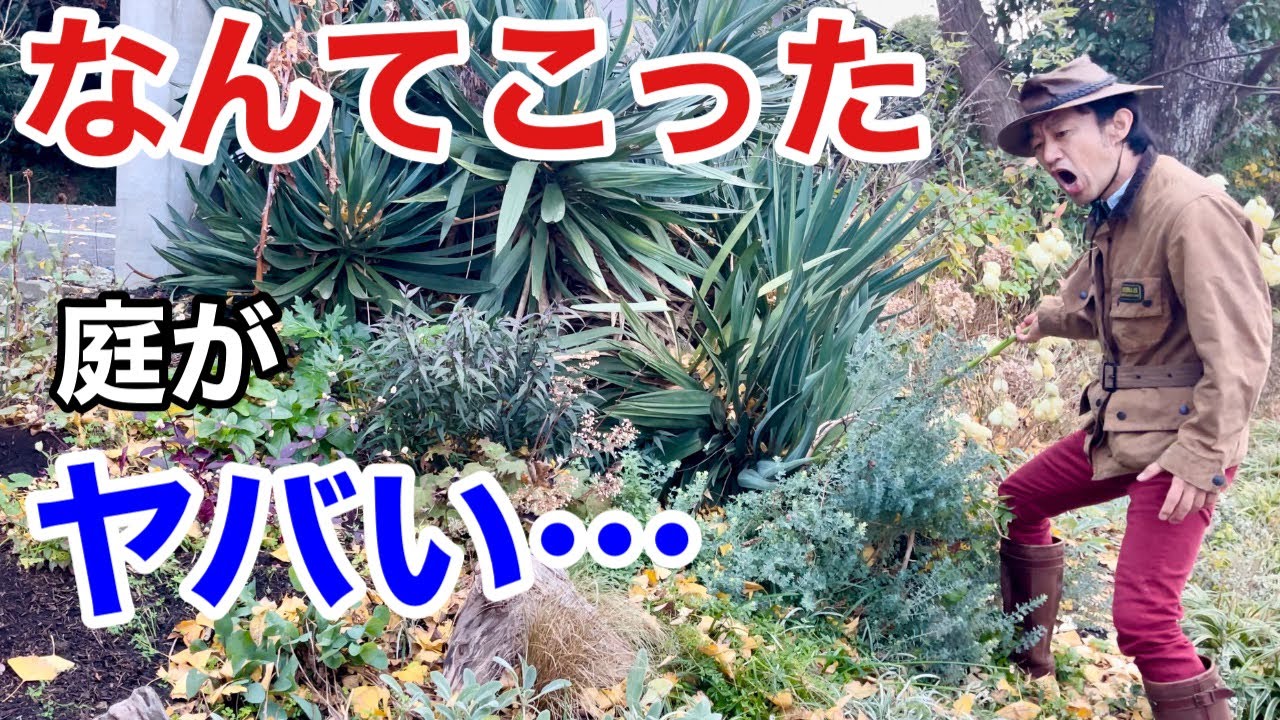 【本格的冬シーズン】今すぐやるべき庭仕事　　　　　　　【ガーデニング】【リフォーム２０】