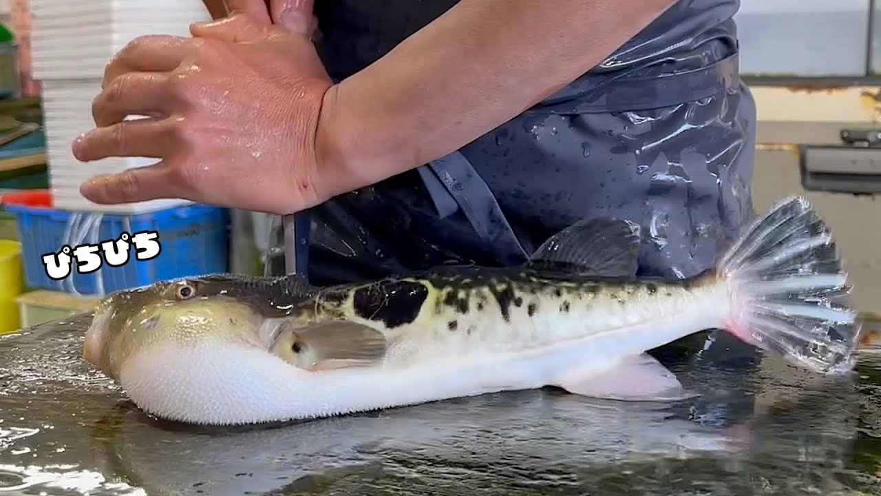 最高のトラフグを使って、作って見たかった料理作ってみた！