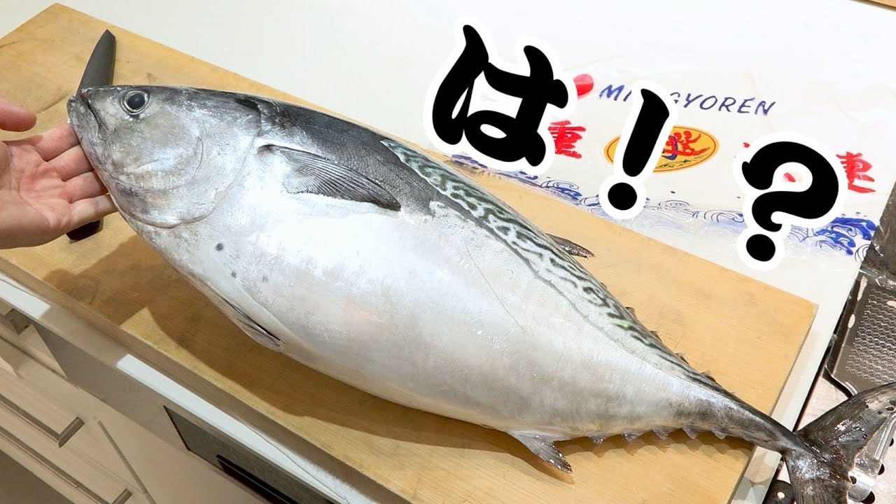市場の片隅にペンギンみたいなやばい魚が売ってました。