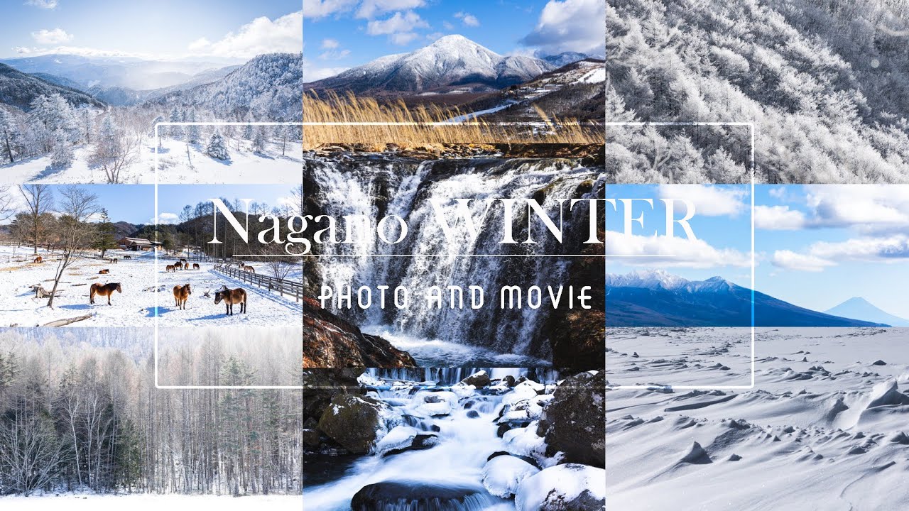 【雪景色】凍てつく信州の冬 | EOSR6 RF24-105mm・EF70-300mm