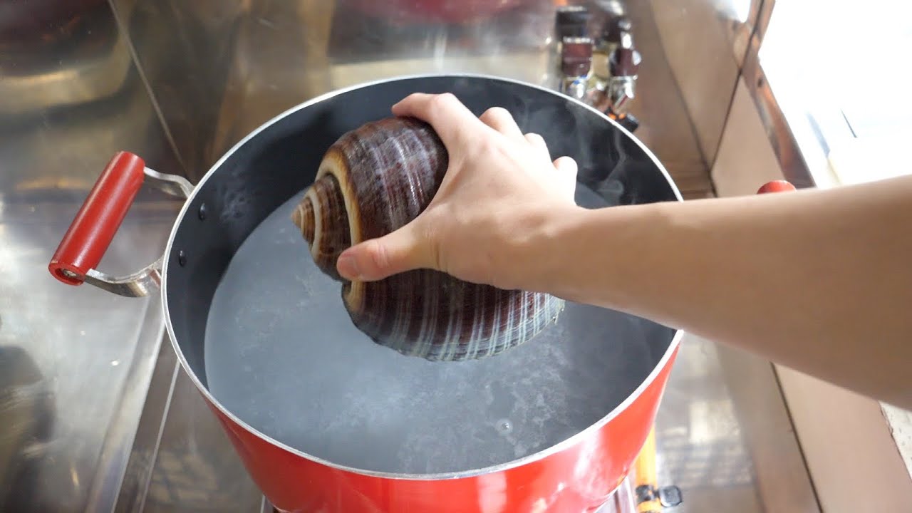 朝市で売っていた、海に生息する激安巨大なカタツムリみたいな貝を熱湯の中にほうりなげたら・・・