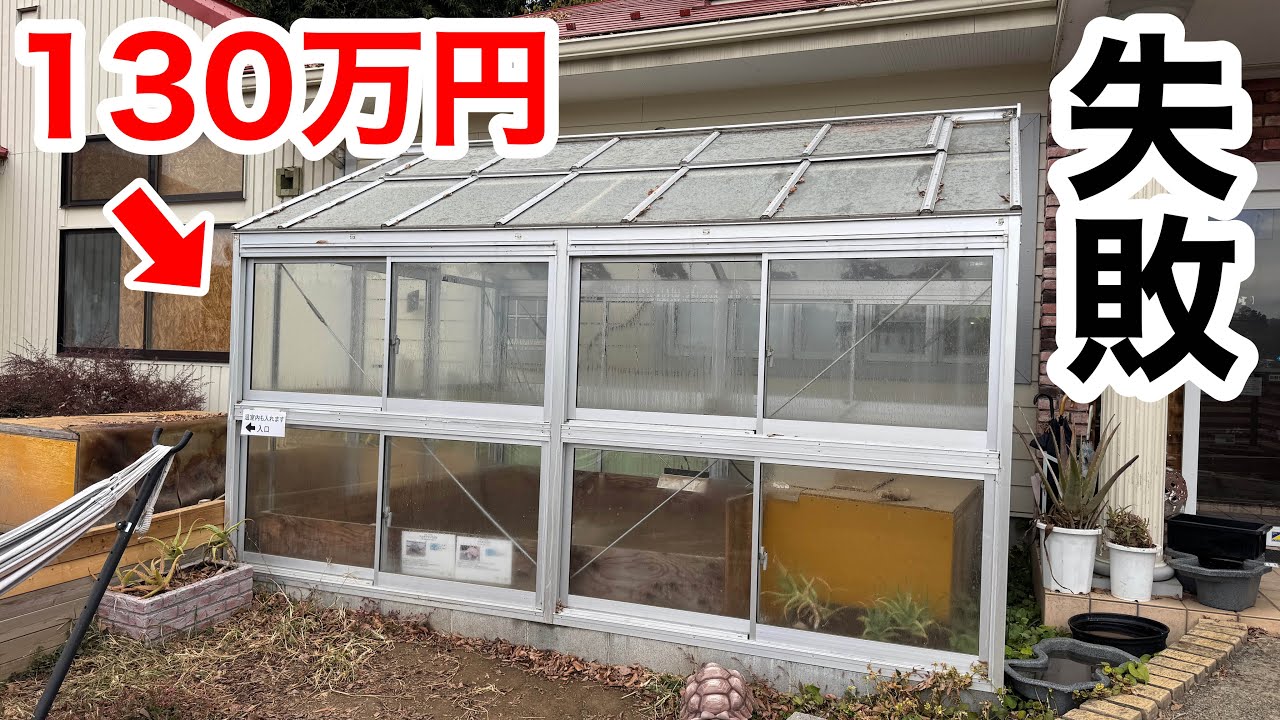 １３０万円かけてリクガメを飼育する為にガラス温室を建てましたが、失敗でした