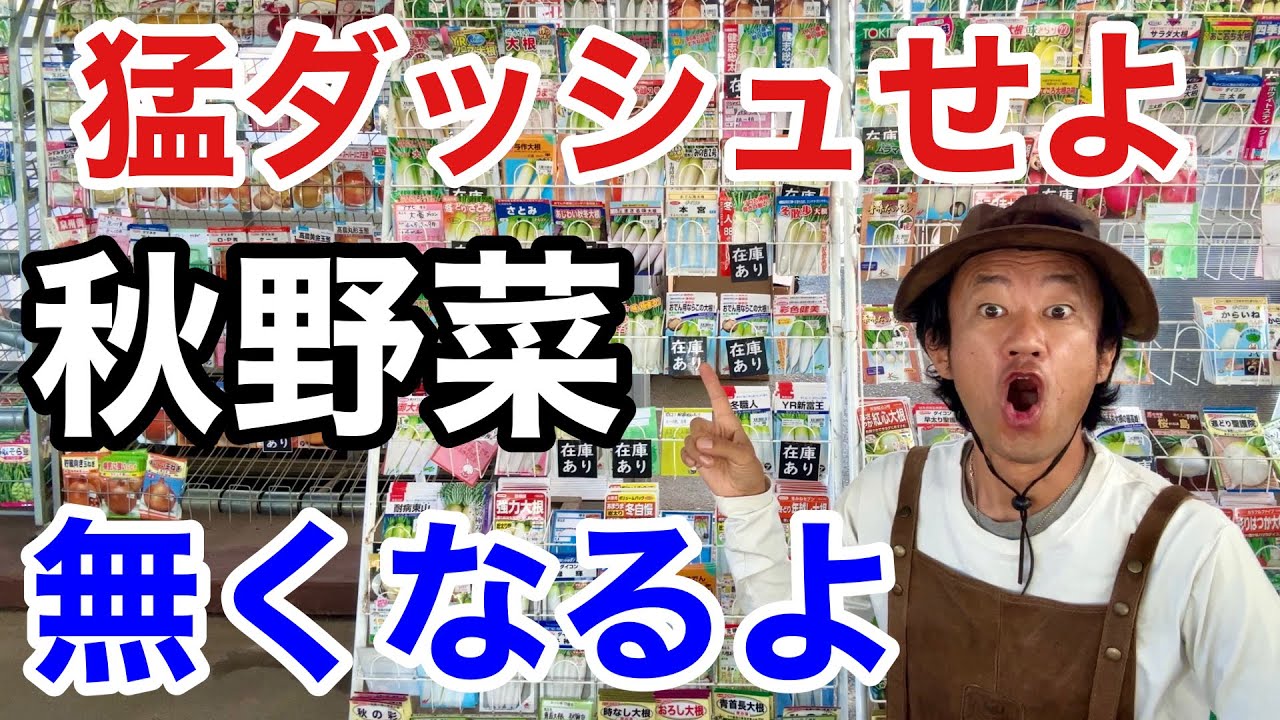 【大本命】初心者でも大満足今まける野菜の種教えます！　　　　【カーメン君】【園芸】【ガーデニング】【初心者】