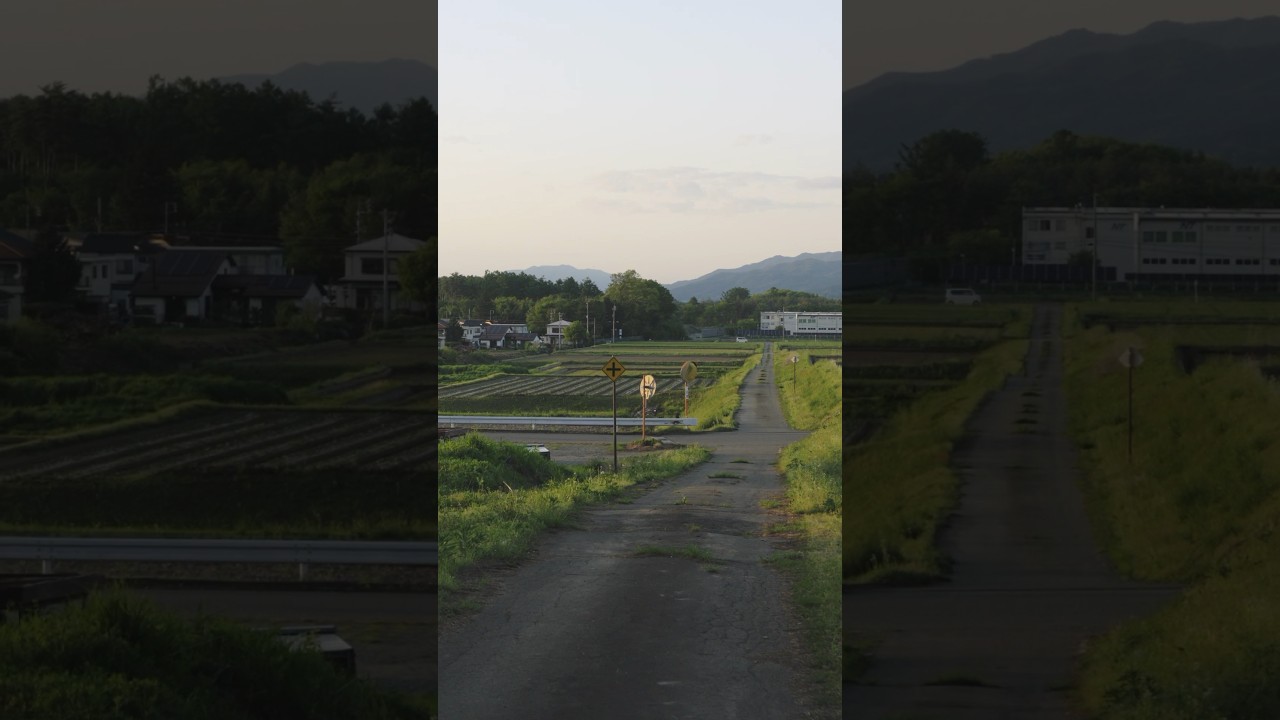 田舎の夏の始まり。ノスタルジックな夕暮れ時の景色　#shorts
