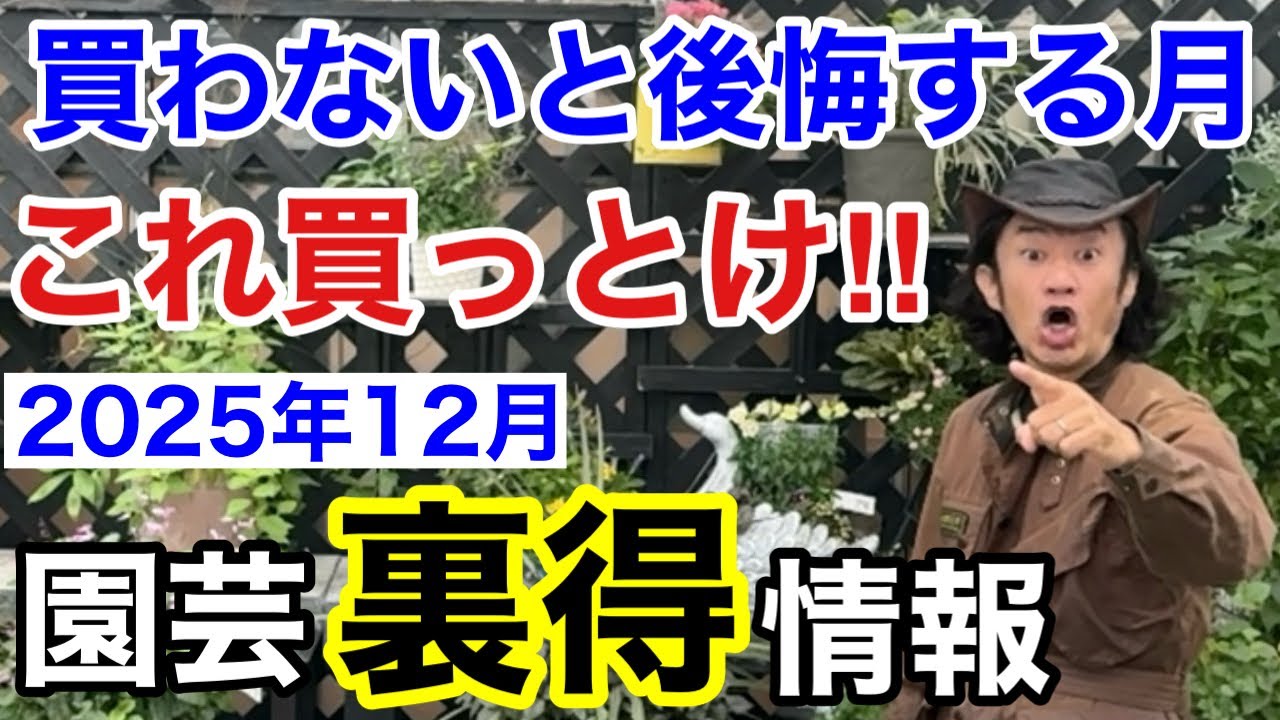 【お買い得情報】12月に買わないと必ず後悔する植物教えます　【カーメン君】【園芸】【ガーデニング】【初心者】