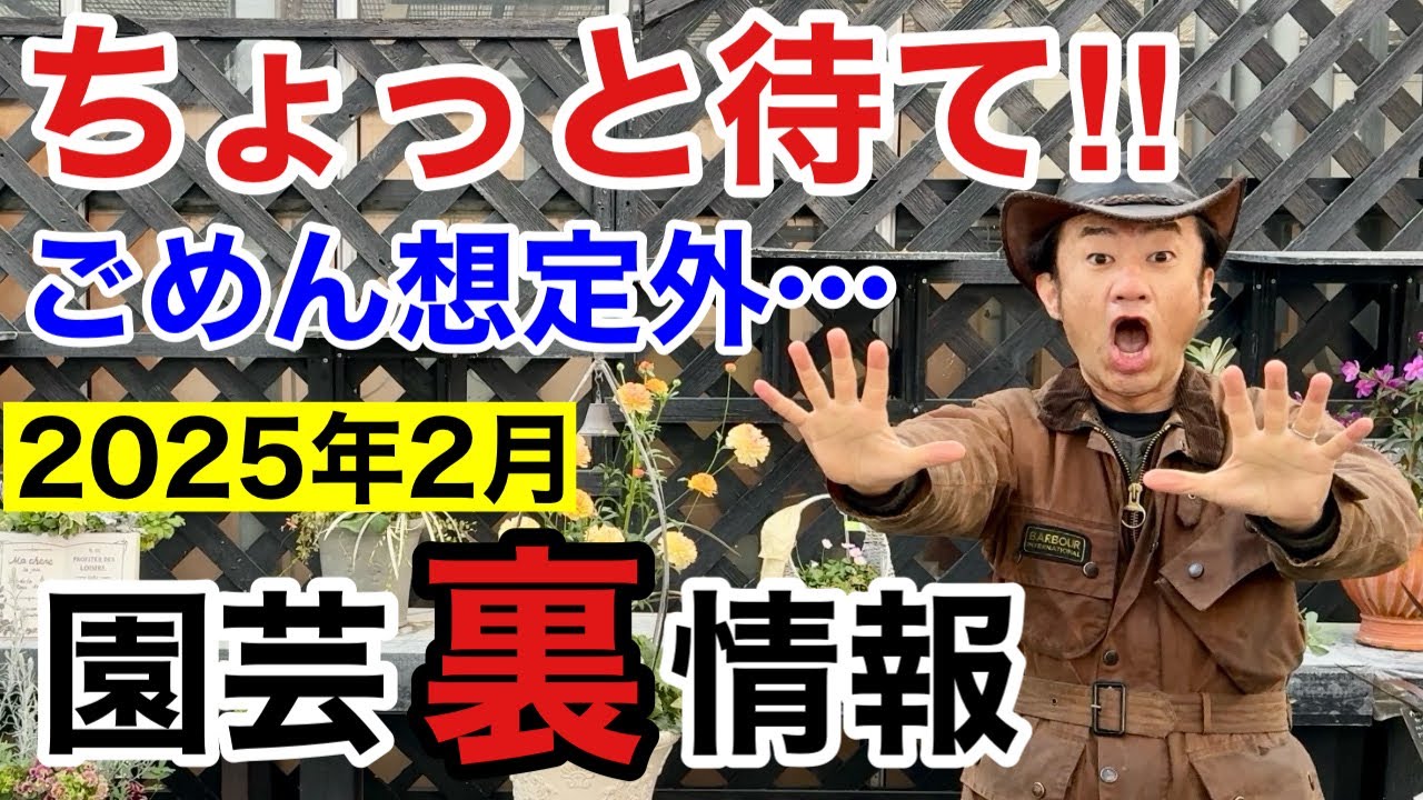 【暖冬？寒波？】２月買い物に行く前に必ず見て下さい　【カーメン君】【園芸】【ガーデニング】【初心者】