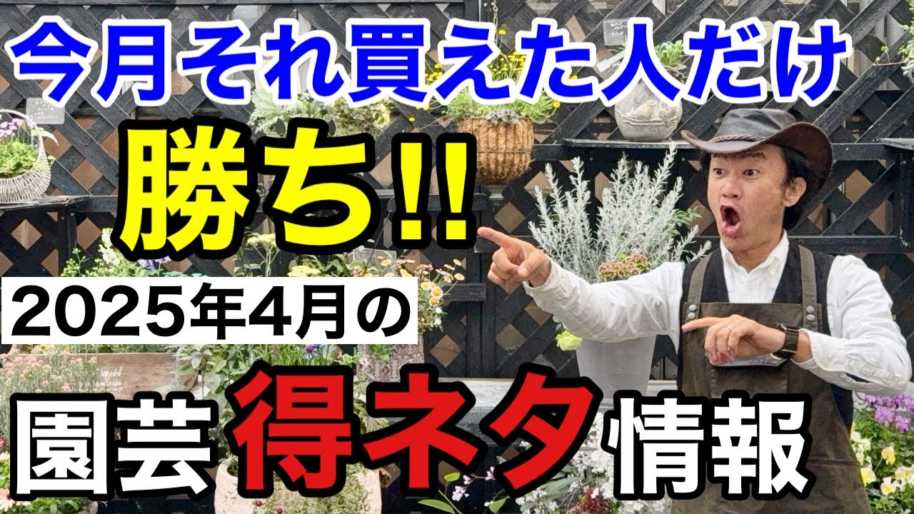 【とにかく急げ】４月買って得するもの損するもの教えます　　　　　　　　　【カーメン君】【園芸】【ガーデニング】【初心者】