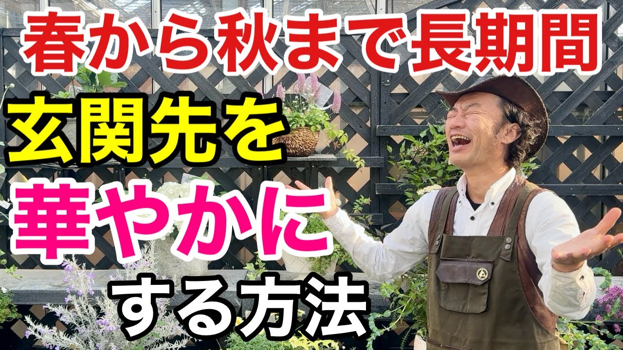 【たったこれだけ】どこでも誰でも玄関先は華やかにできます　　　　　　　　　　　　【カーメン君】【サカタのタネ】【サンパティオ】【初心者】