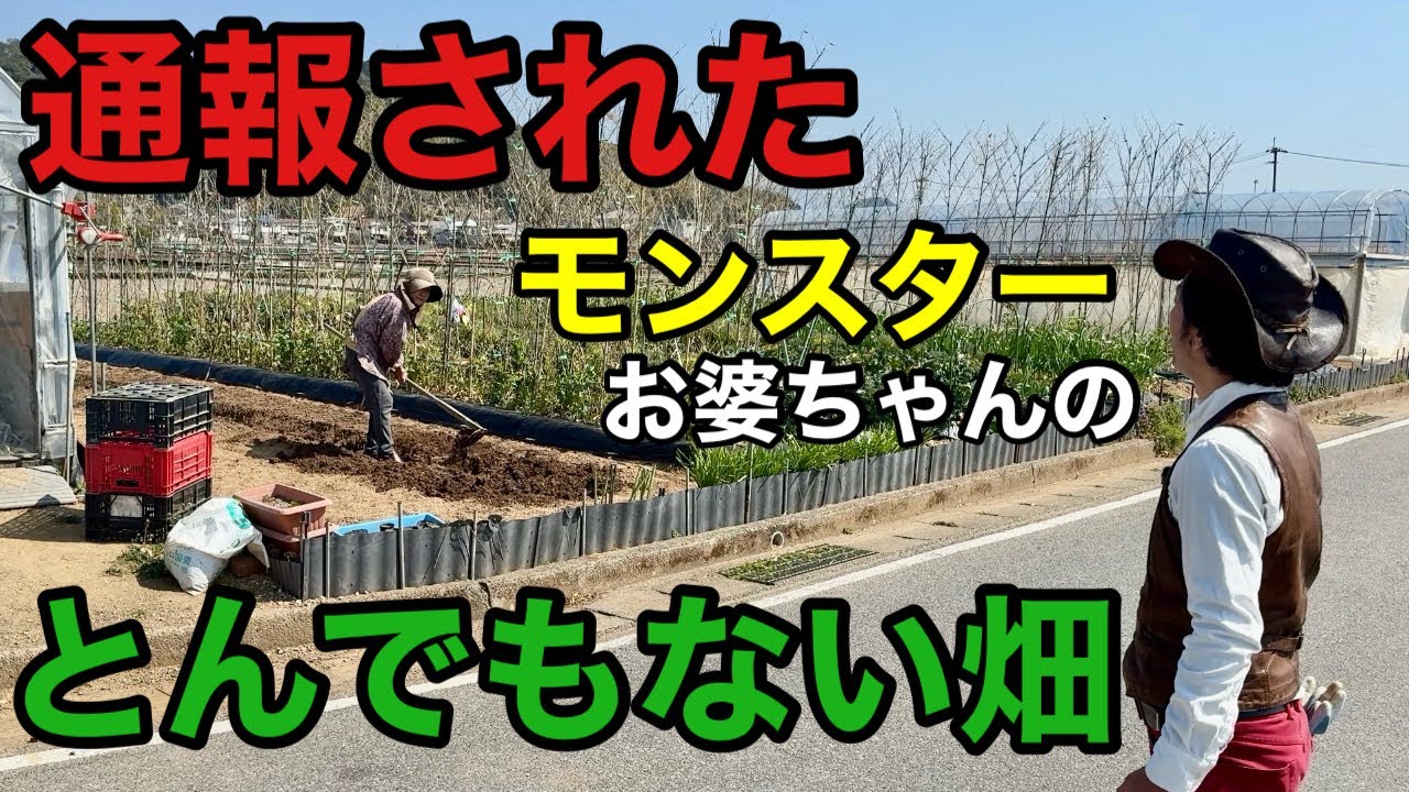 【目からウロコの連続】おばあちゃんの畑づくりが僕の想像を遙かに超えていました。　　　　　　　　　　　　　【カーメン君】【ひろちゃん農園】【家庭菜園】【初心者】