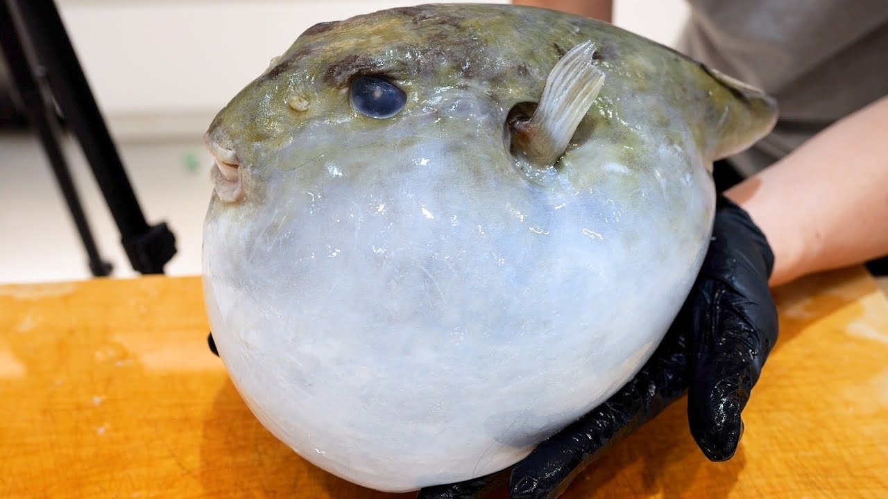 冷凍庫の中から出てきたフグを捌いたら、お腹の中から・・・。