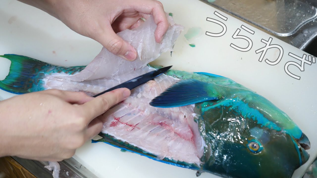 青２号で着色したくらいに蒼い魚をネット通販で購入しました。内臓が臭すぎるので変わった捌き方をして食べる