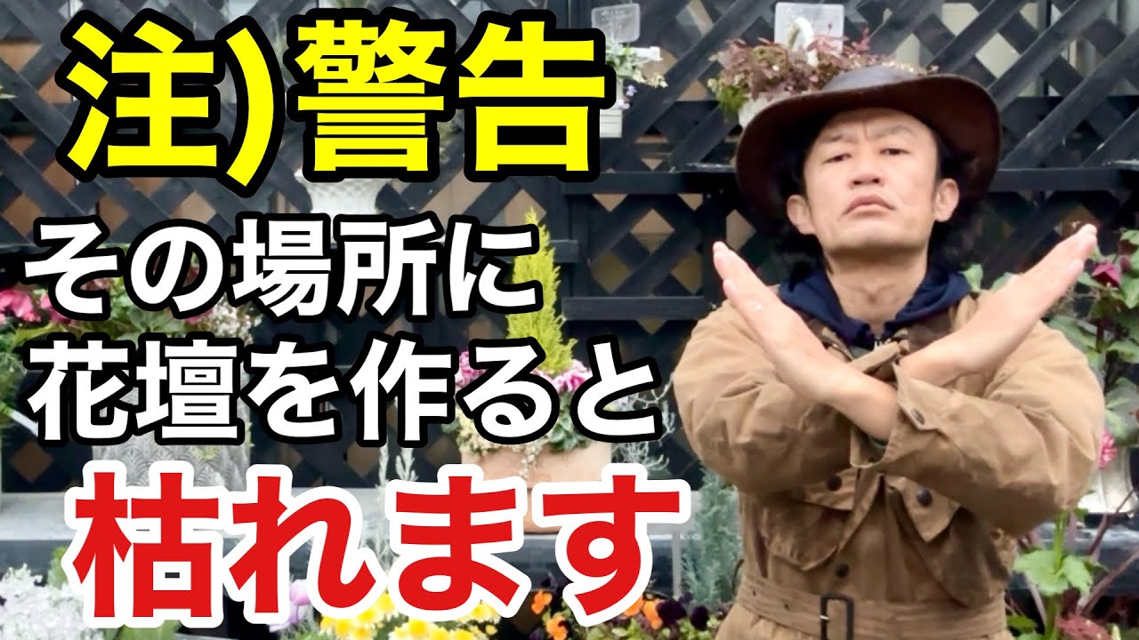 【要注意】後から花壇を作ってはいけません　【カーメン君】【レイズドベッド】【ガーデニング】【初心者】