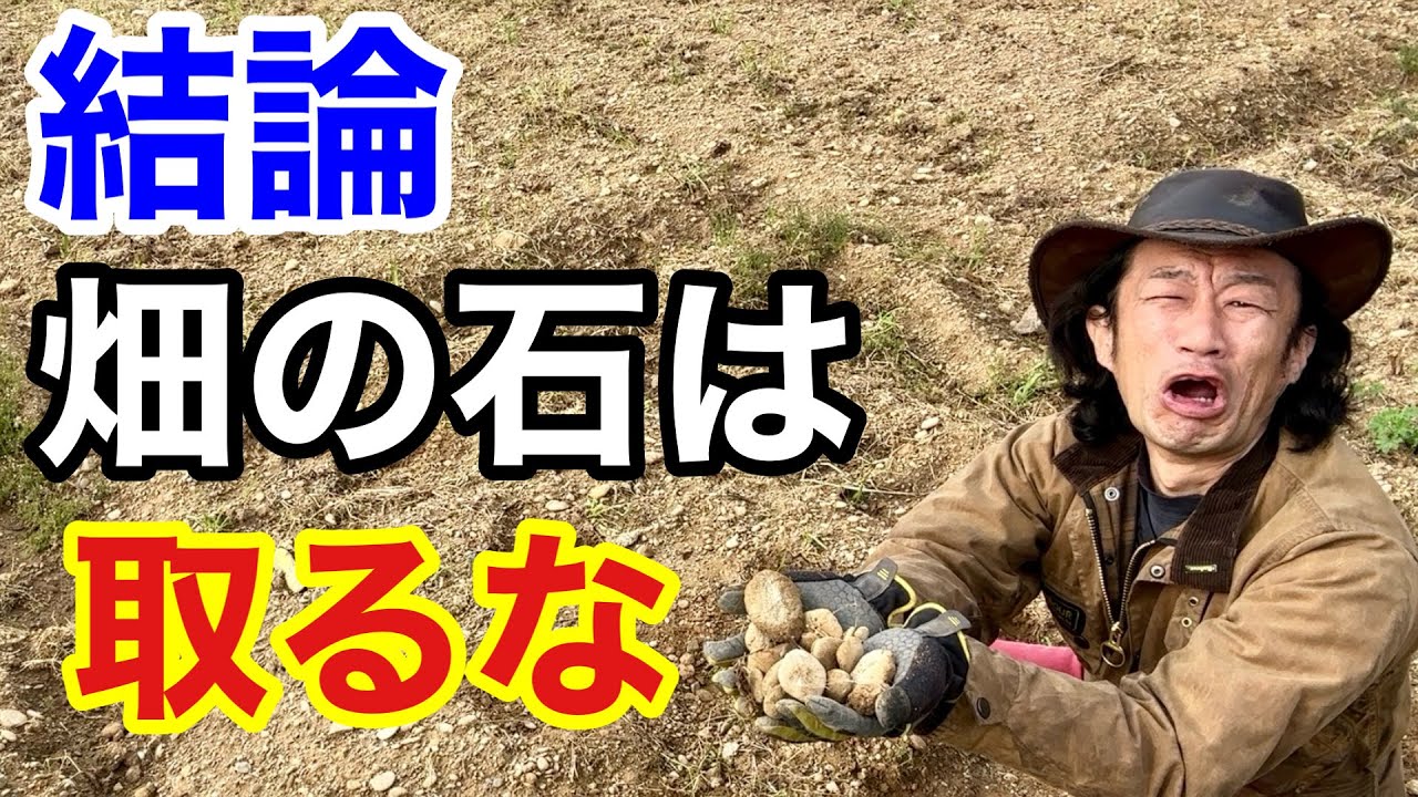 畑づくりで出てくる大量の石に悩んでる方は必ず見てください　　　【カーメン君】【園芸】【ガーデニング】【初心者】