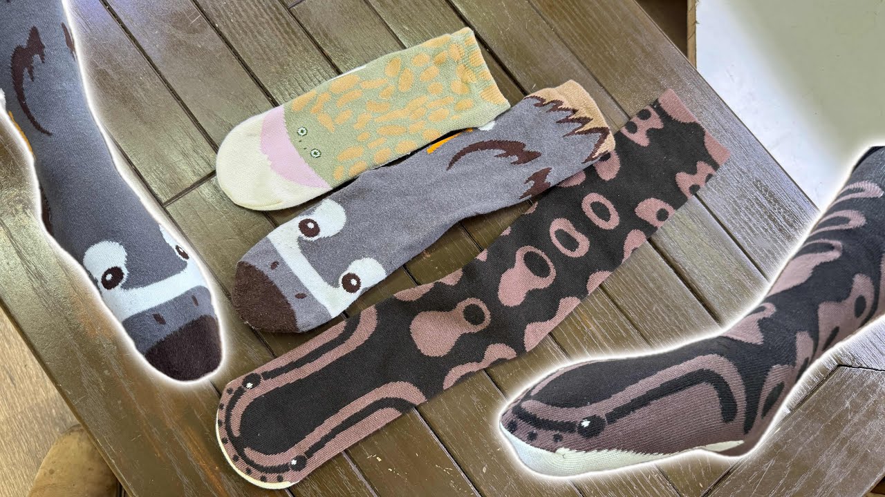 履くとヘビやカエルになれるオリジナル靴下を開発しました
