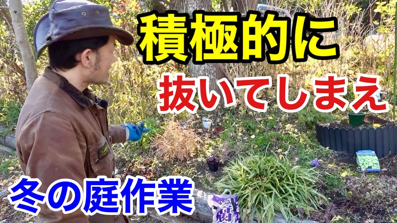【春はすぐそこ】今やるべき冬の庭仕事教えます　【カーメン君】【園芸】【ガーデニング】【初心者】